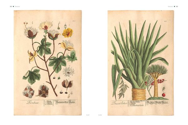 Das Herbarium Blackwellianum (Faksimile 1750-1773)